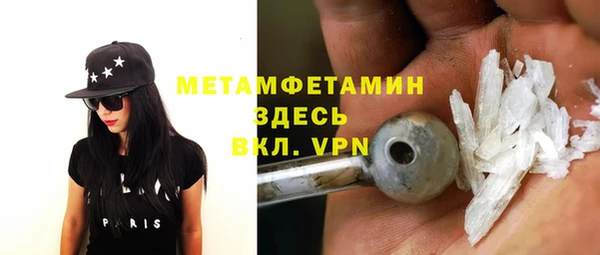 шишки Белокуриха