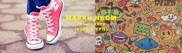 шишки Белокуриха