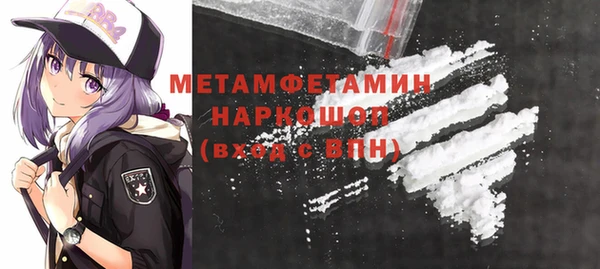 шишки Белокуриха