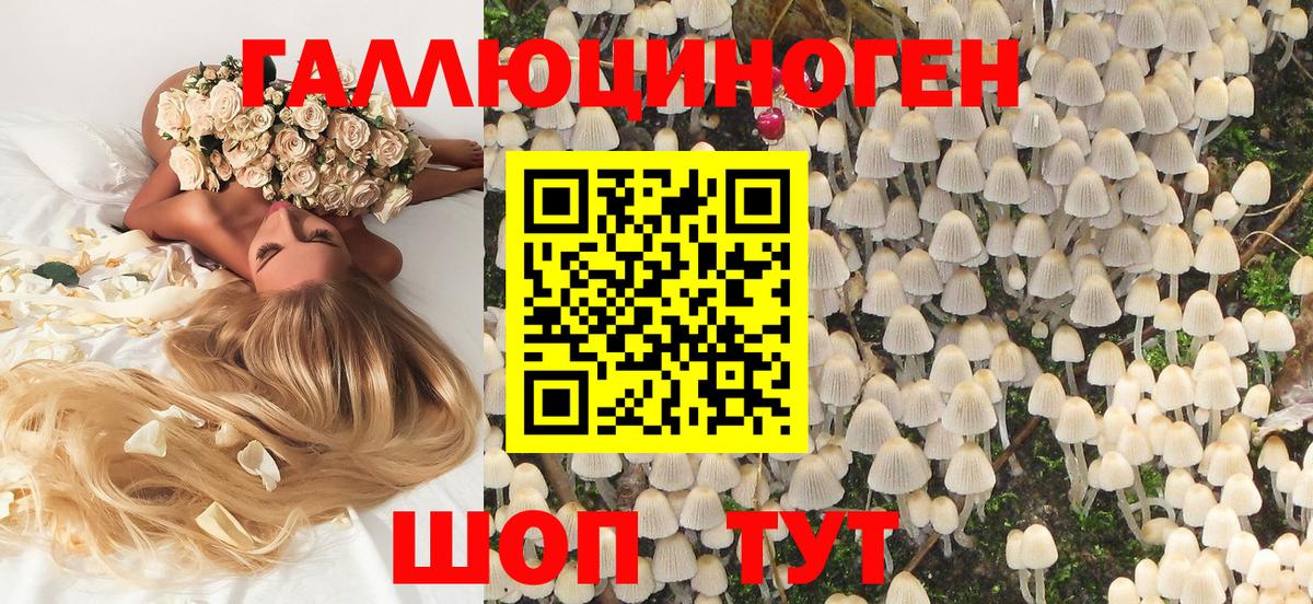 Галлюциногенные грибы MAGIC MUSHROOMS Губаха