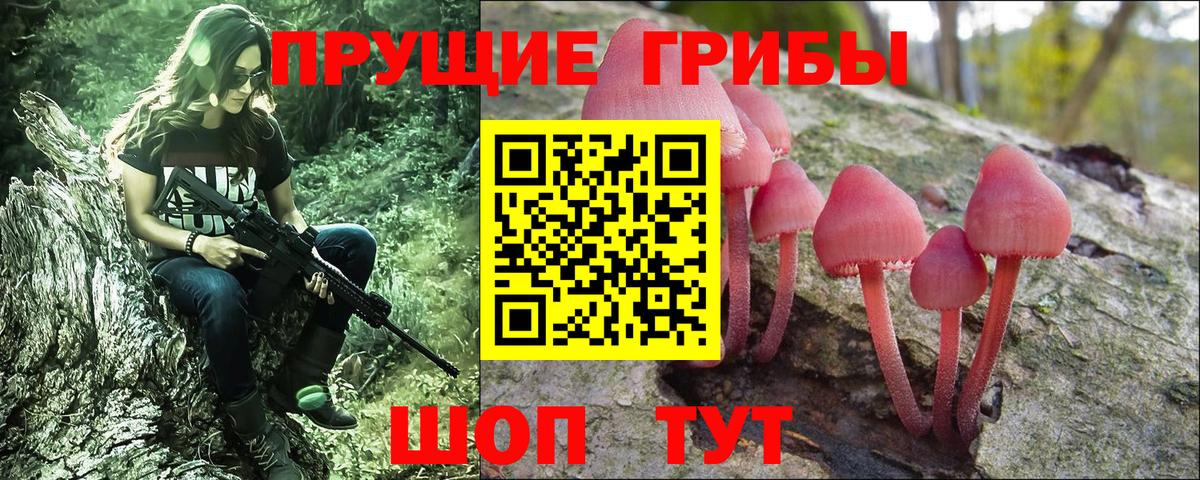 Губаха  Псилоцибиновые грибы Psilocybe  Вход с VPN 